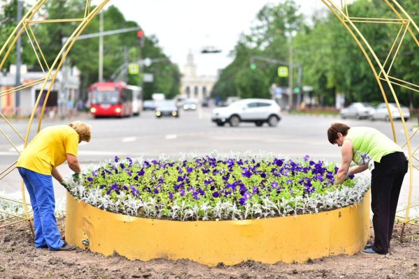 Клумба для рисования