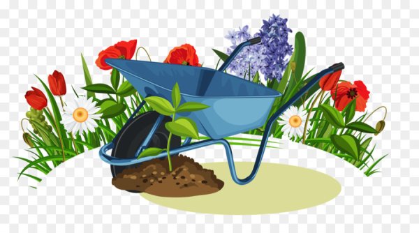 Нарисовать посадку цветов