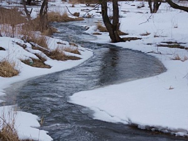 Ручейки весной