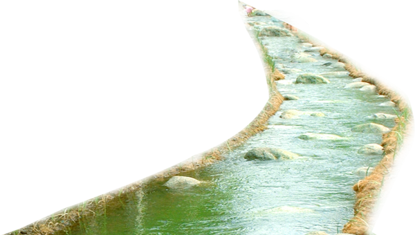 Ранняя Весна для дошкольников