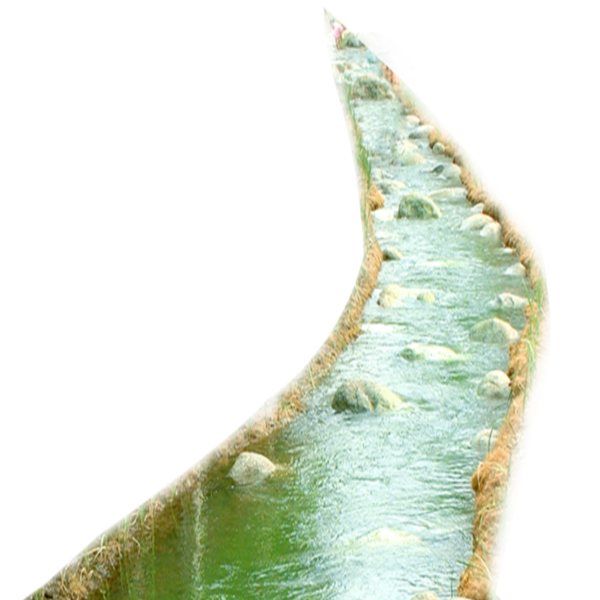 Лягушка и вода на бесцветном фоне