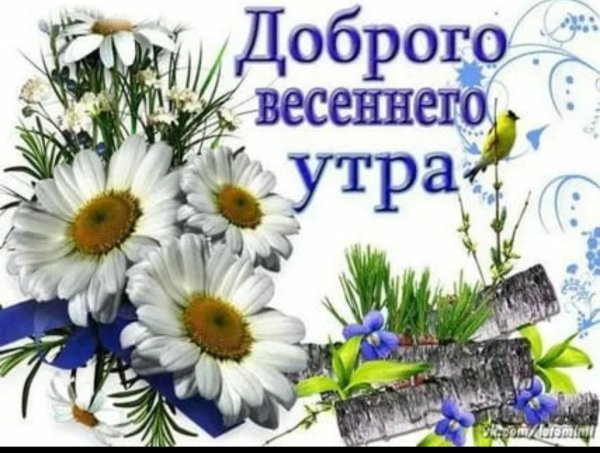 Чудесное настроение