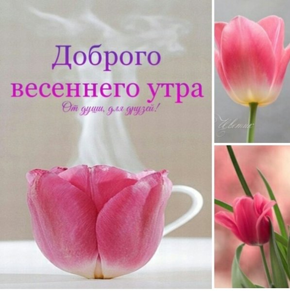 С добры м суббоьним утрои