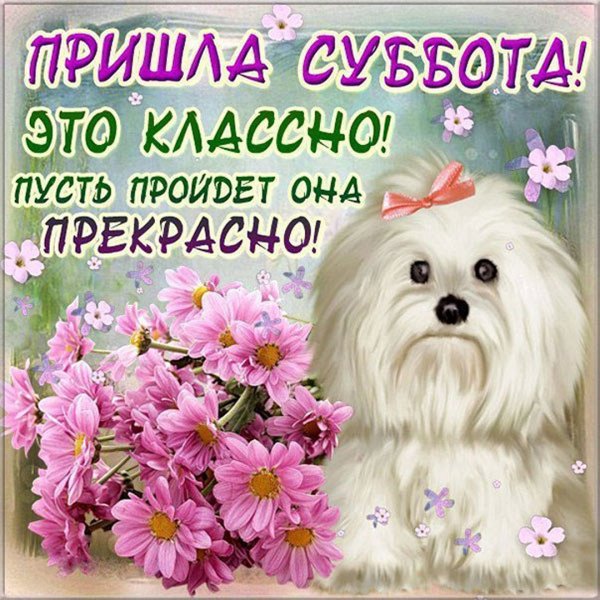 С добры м суббоьним утрои