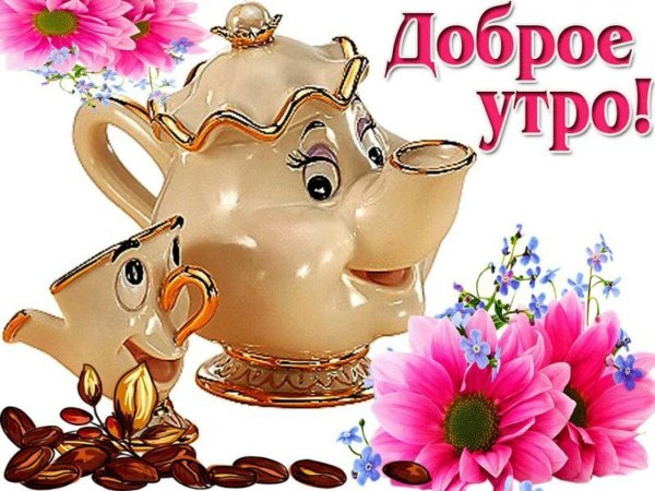 Красивые пожелания с добрым утром и хорошего дня