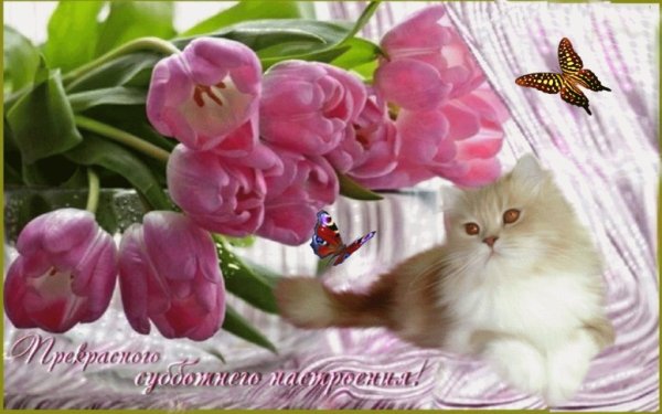 Открытки с добрым субботним утром