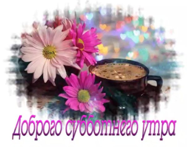 Доброе утро Зайка