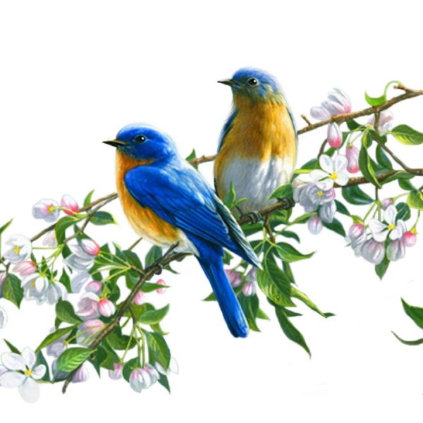 Весна мультяшная