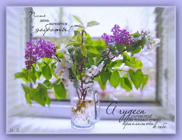 Открытки с добрым утром Су