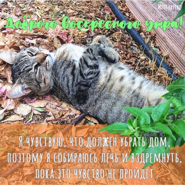 Добро утро воскресенье