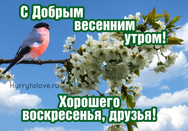 С добрым воскресным весенним утром