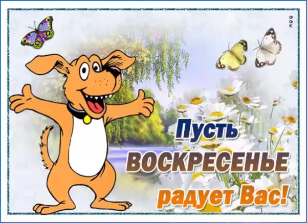 Доброе утро Весна