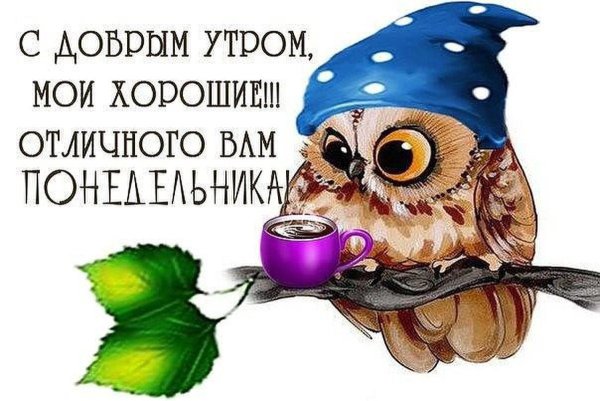 Доброе утро с птицами