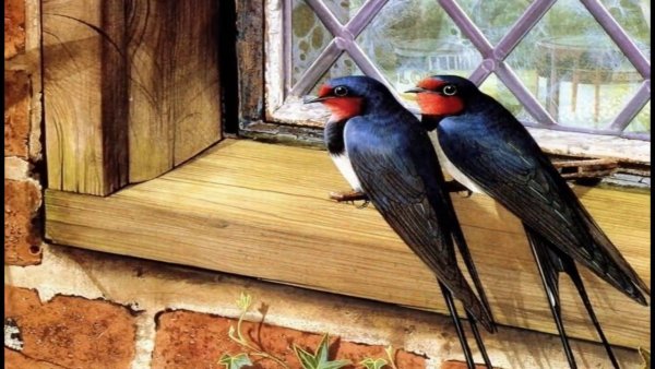 Весна ласточки