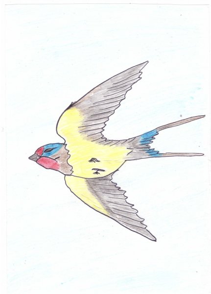 Травка зеленеет солнышко блестит Ласточка