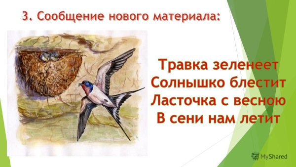 Ласточка с весною в сени к нам летит
