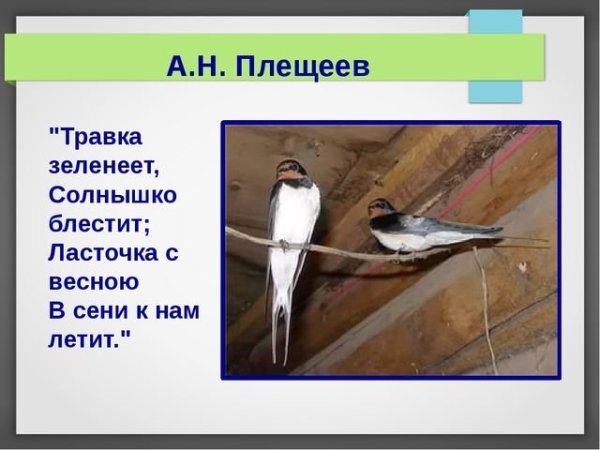 Ласточки в небе