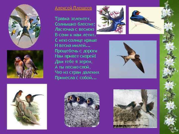 Вьётся Ласточка