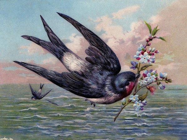 Травка зеленеет солнышко блестит