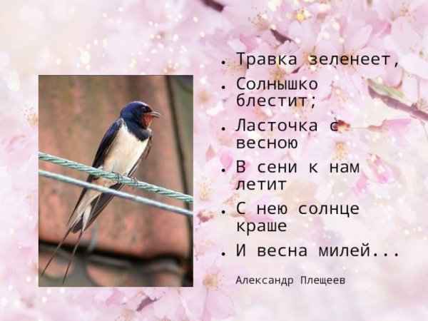 Ласточка стихотворение