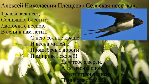 Стих про ласточку