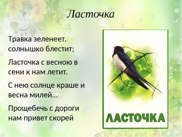 Короткое стихотворение Пушкина Ласточка