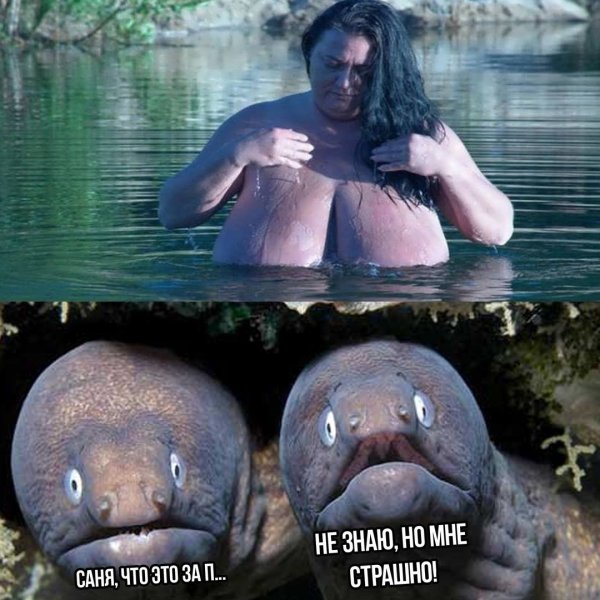 Веселые картинки приколы