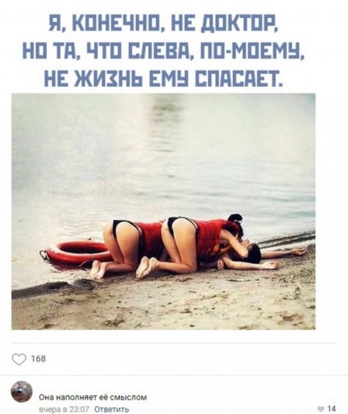 Мемы с котами и Наташей