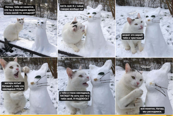 Прикольные картинки про жизнь