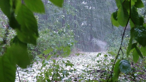 Выпадение осадков