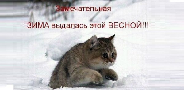 Снова вернулась зима