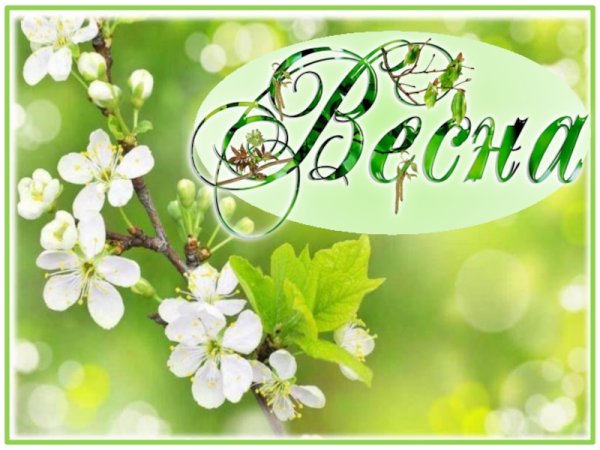 Уголок природы Весна