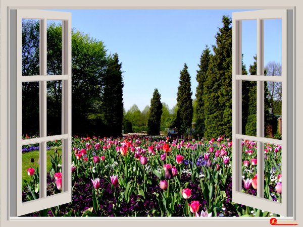 Фотообои окно в сад