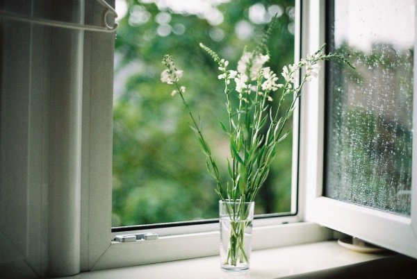 Весенний вид из окна