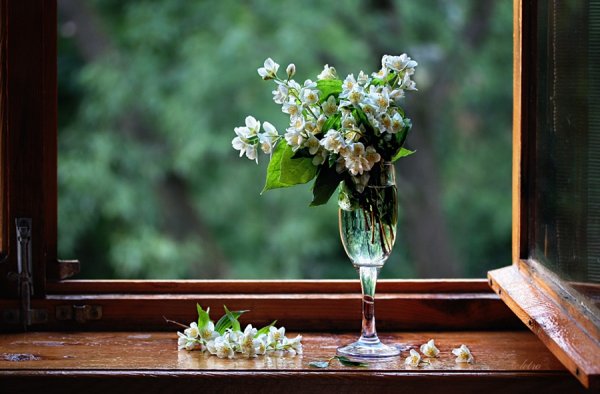 Весенние цветы на подоконнике