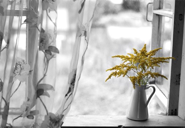 Художник Александр Волков окна