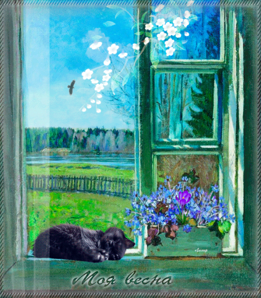 Зимние цветы