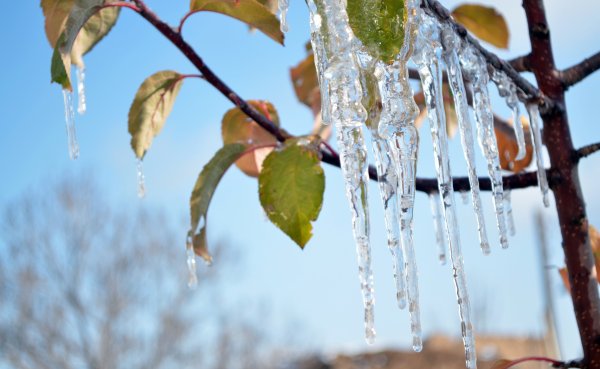 Весенние сосульки