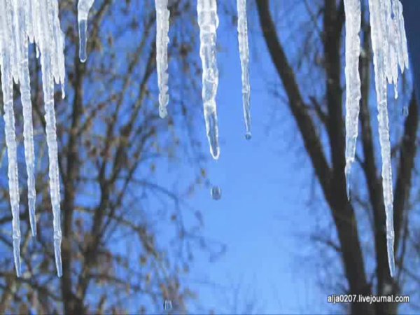 Природа март капель