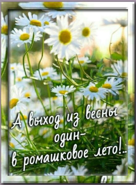 А выход из весны один в Ромашковое лето