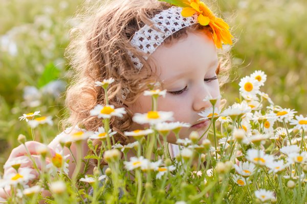 Дети летом на лугу