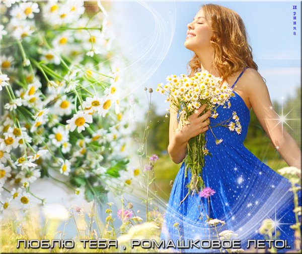 Ромашковое лето стихи
