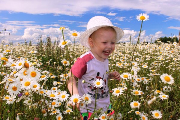 День ромашек 24 июня