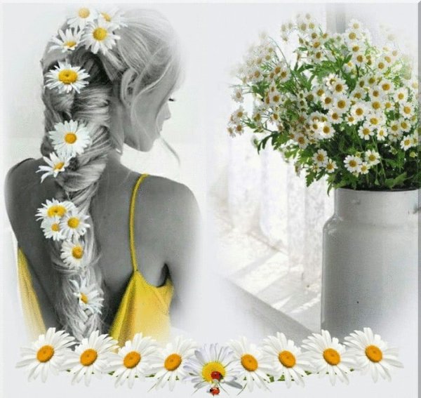 Из весны в Ромашковое лето