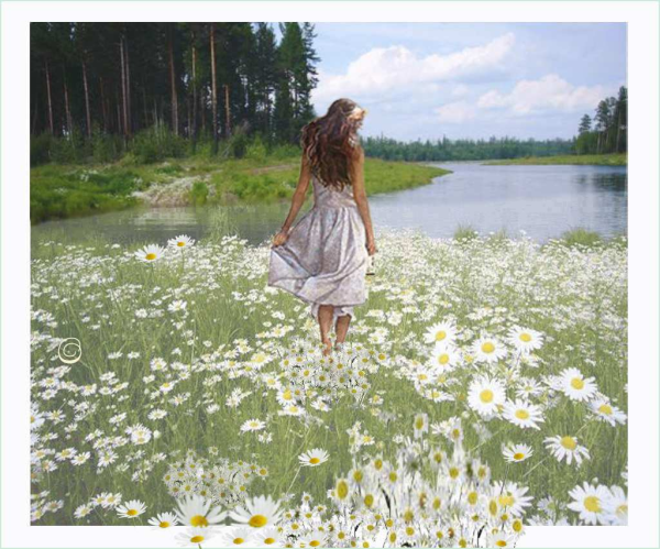 Красота вокруг тебя