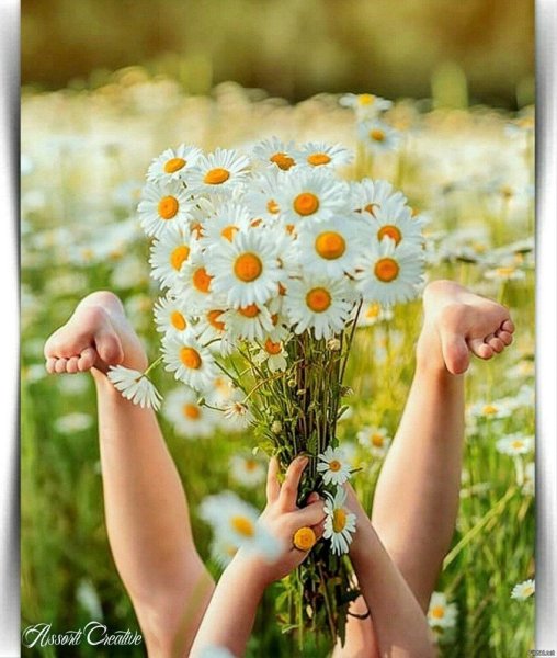 Девушка с полевыми цветами