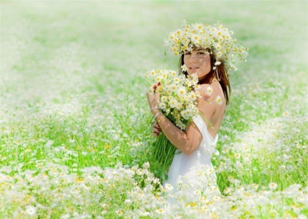 Ромашки анимация