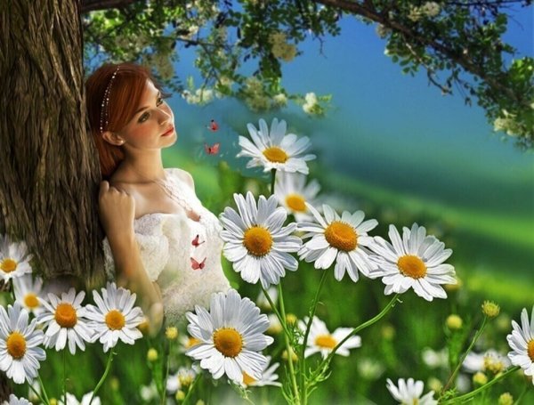 Счастье в ромашках