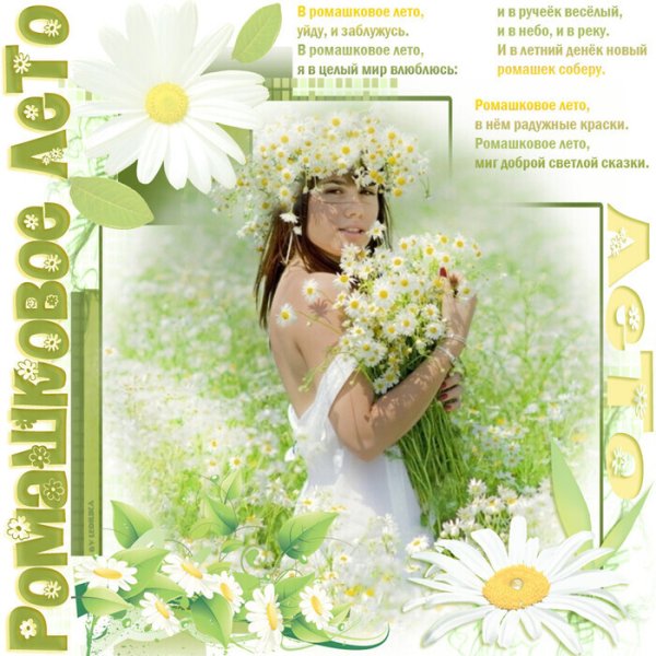 Ромашки в руках