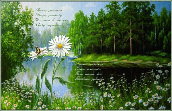 Ромашки утро